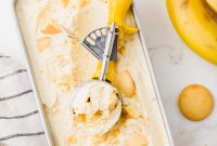 10 Decadent Homemade Ice Cream Recipes to Try Today