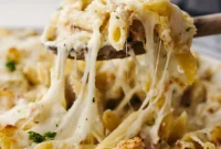 Creamy Baked Chicken Alfredo Pasta Casserole Recipe
