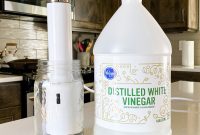 Guide to Cleaning and Maintaining Your Immersion Circulator
