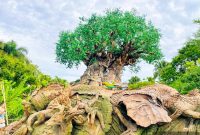 Discovering the Tree of Life at Disney’s Animal Kingdom