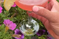 Cranberry Yuzu Martini Recipe – Bright Citrus Holiday Cocktail