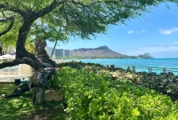 Waikīkī June 2025: New Attractions, Events & Travel Updates