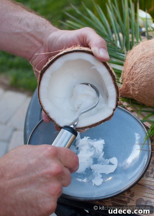 Coconut | Shred img 10238 12