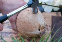 Crack a Coconut and Make Fresh Coconut Milk at Home