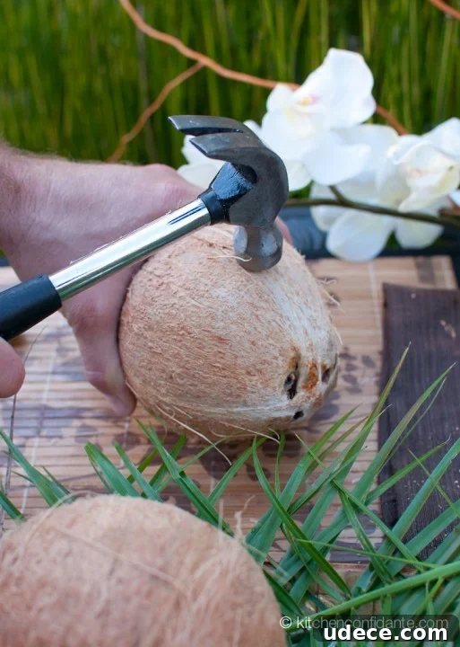 Coconut | Hammer img 10238 7