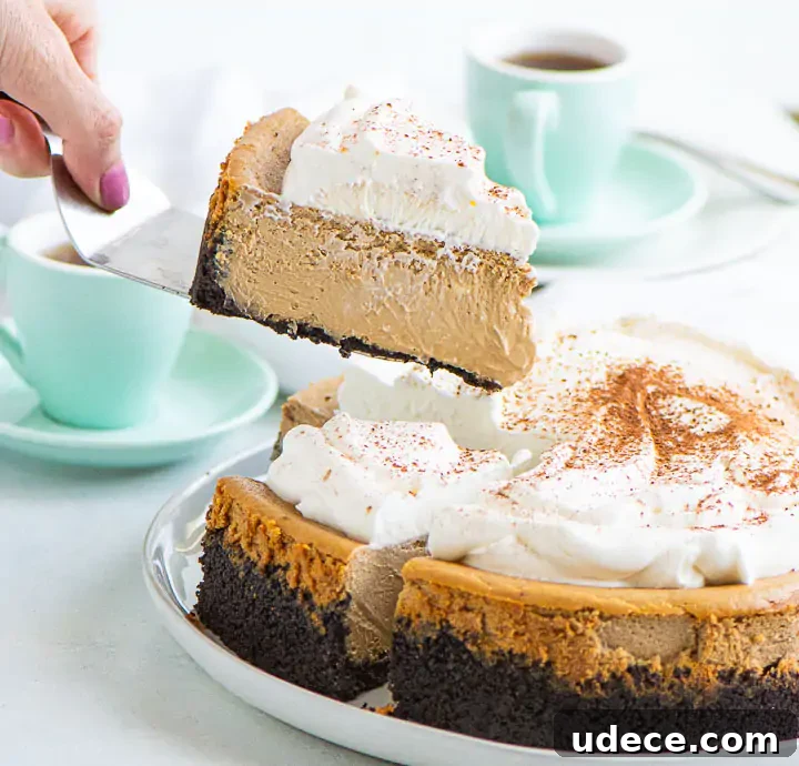 Decadent Espresso Cheesecake Recipe with Coffee Crust 2 hand holding a cake server with a slice of espresso cheesecake on it
