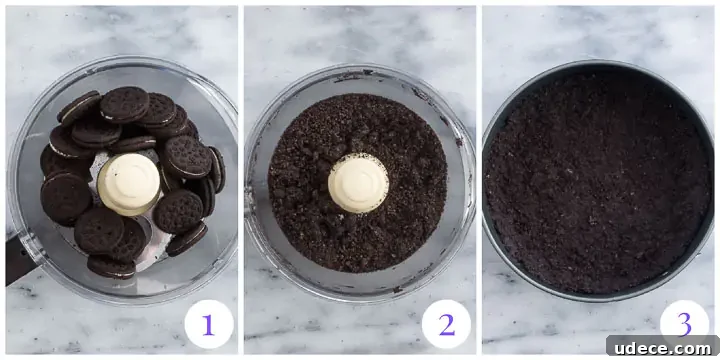 Decadent Espresso Cheesecake Recipe with Coffee Crust 3 how to make Oreo crust step by step