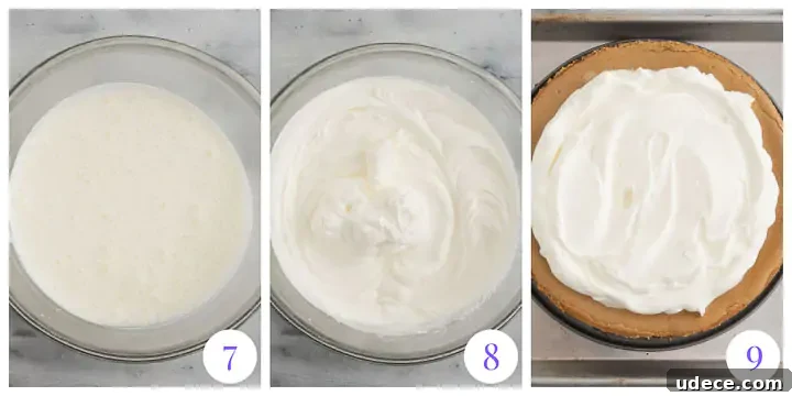 Decadent Espresso Cheesecake Recipe with Coffee Crust 6 how to make whipped cream