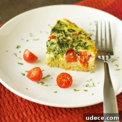 Slow-Cooker Quinoa Breakfast Casserole with Tomato & Spinach 7 Slow Cooker Quinoa Breakfast Casserole with Tomatoes and Spinach