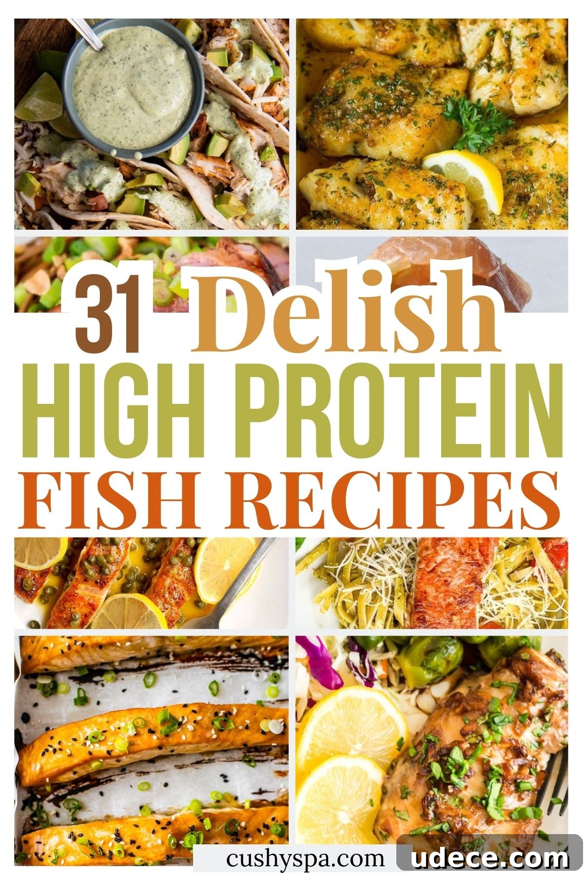 31 High Protein Fish Recipes