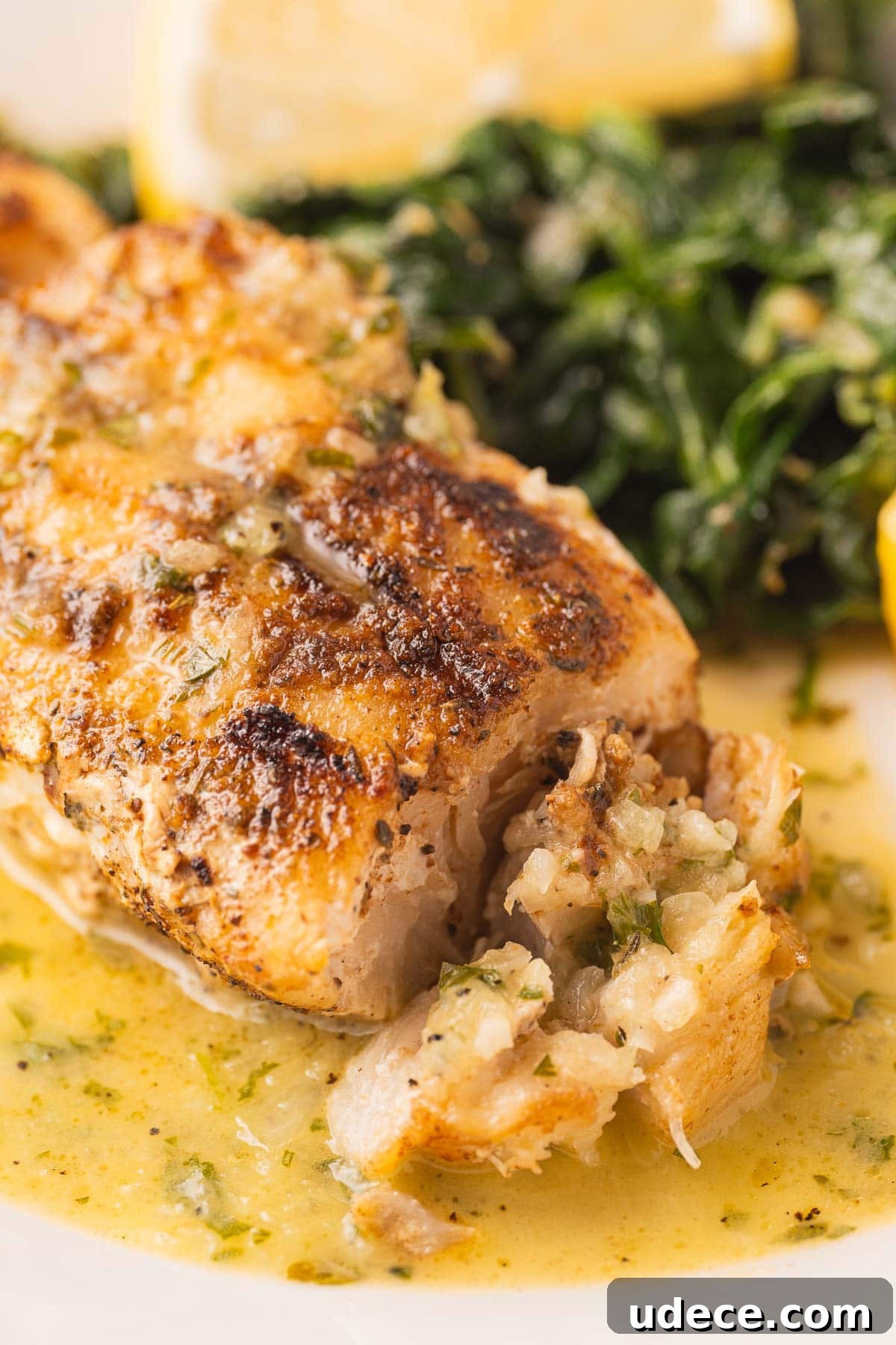 Blackened Grouper with Lemon Herb Sauce