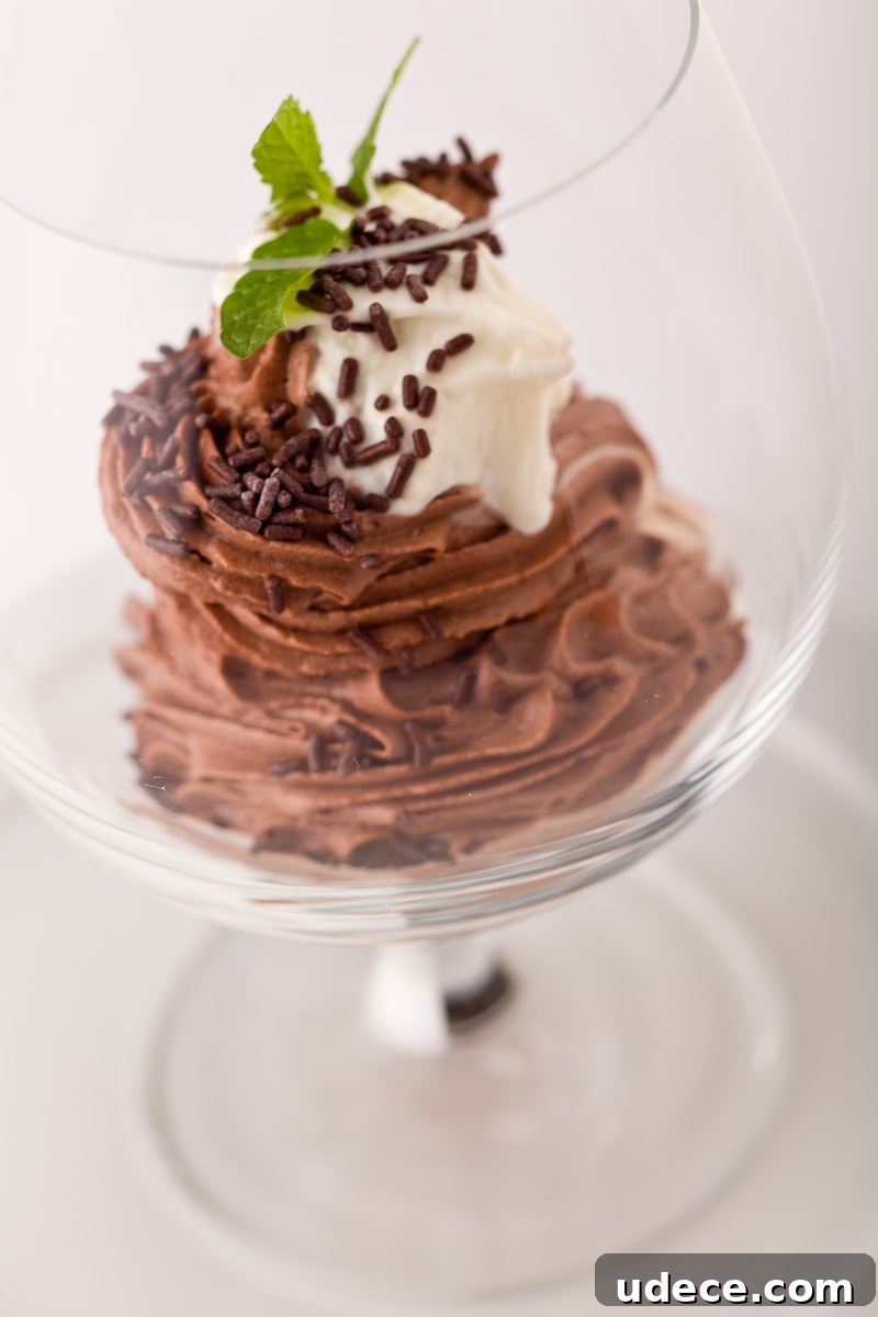 Chocolate Mousse-7960 Chocolate mousse in stemmed glass.