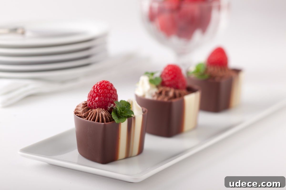 Chocolate Mousse Recipe Without Eggs — Silky, Quick Dessert 3 Chocolate mousse platter