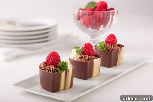 Chocolate Mousse Recipe Without Eggs — Silky, Quick Dessert 8 chocolate mousse | AFoodCentricLife.com