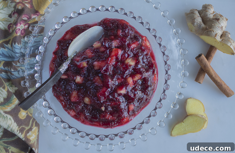 2019 Thanksgiving Survival Guide: Top A Zest For Life Holiday Recipes 13 Chunky Cranberry Sauce