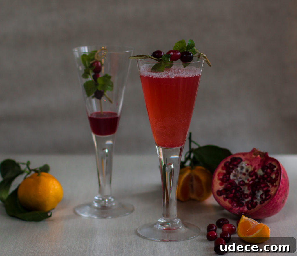 2019 Thanksgiving Survival Guide: Top A Zest For Life Holiday Recipes 14 Prosecco Cocktail