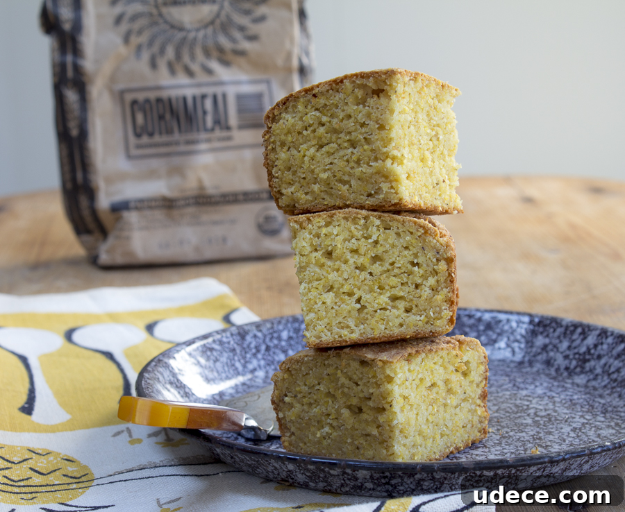 2019 Thanksgiving Survival Guide: Top A Zest For Life Holiday Recipes 24 Karen’s Cornbread