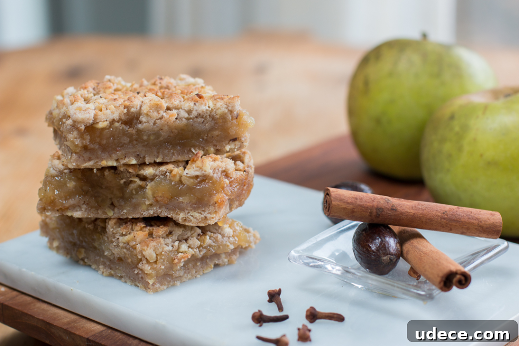 2019 Thanksgiving Survival Guide: Top A Zest For Life Holiday Recipes 26 Applesauce Linzer Bars