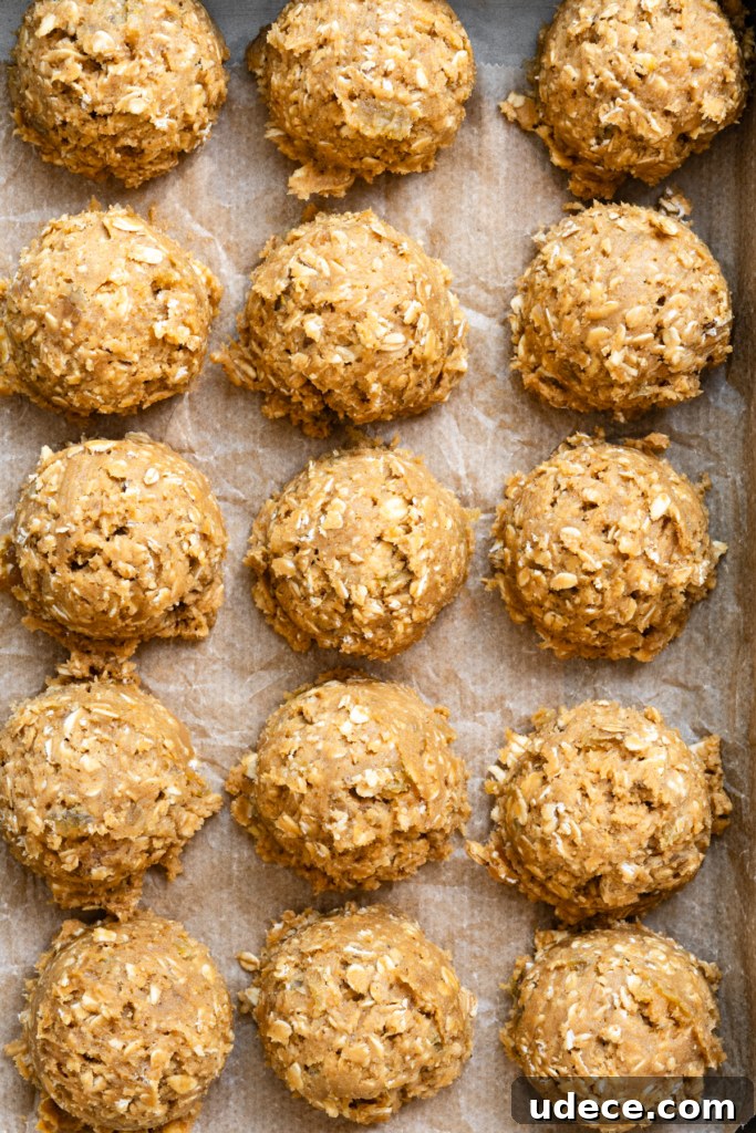 Overhead view of oatmeal cookie dough scooped into balls and placed in rows on parchment paper.