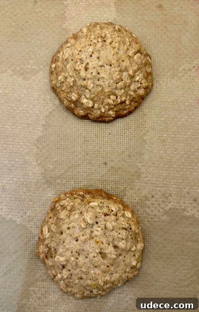 Two just baked oatmeal cookies on parchment paper.