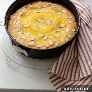Lemon Custard Almond Cake is baked in a springform pan.