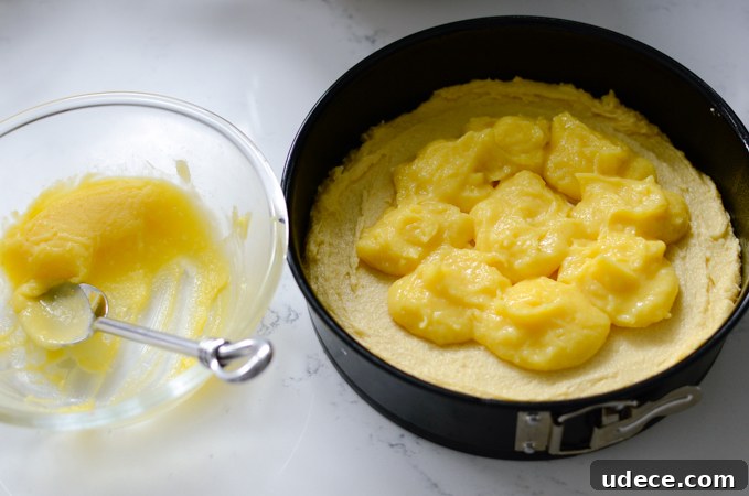Lemon Custard Almond Cake