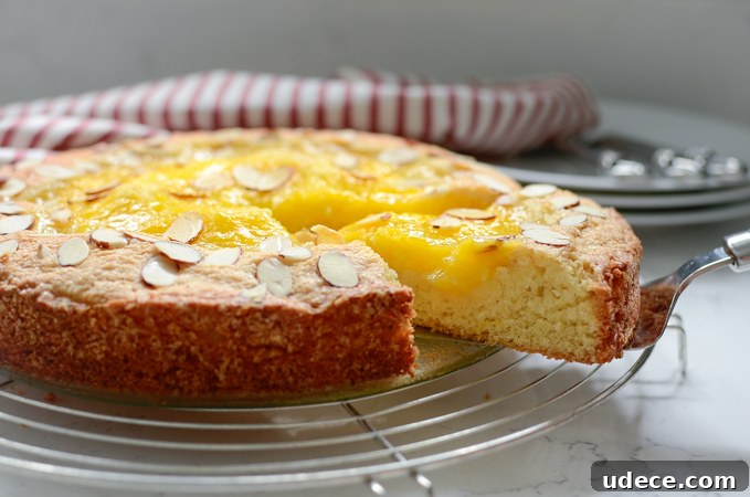 Lemon Custard Almond Cake