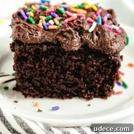 Surprising No-Egg Crazy Cake Recipe: Moist Chocolate Cake Without Eggs 13 A close up of a piece of chocolate cake on a plate