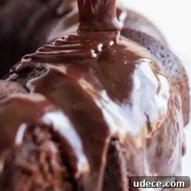 Surprising No-Egg Crazy Cake Recipe: Moist Chocolate Cake Without Eggs 8 a close up shot of Red Wine Chocolate Cake