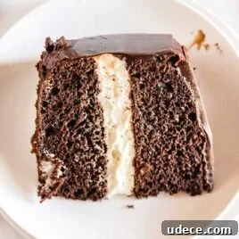 Surprising No-Egg Crazy Cake Recipe: Moist Chocolate Cake Without Eggs 9 overhead shot of Ding Dong Cake on a plate