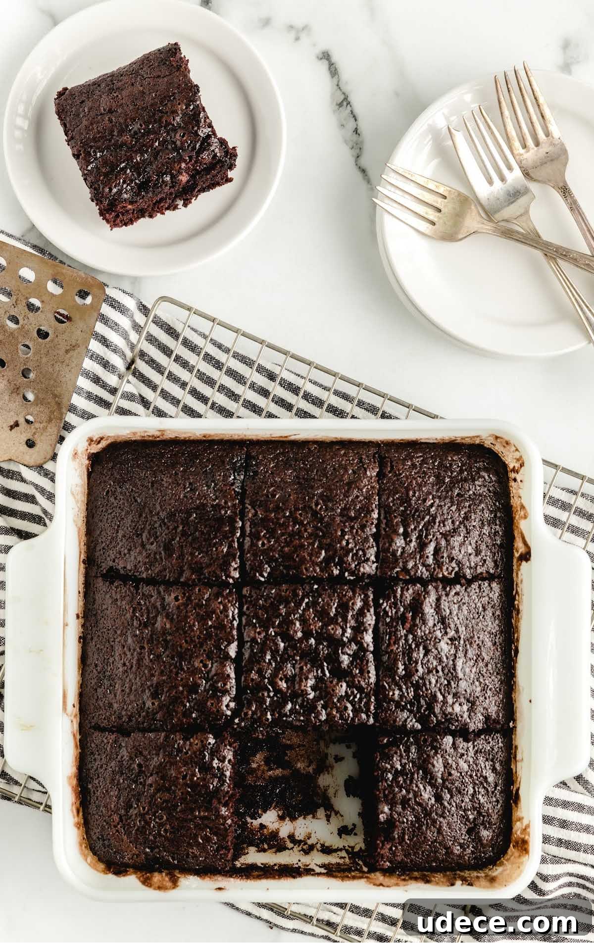Surprising No-Egg Crazy Cake Recipe: Moist Chocolate Cake Without Eggs 10 overhead shot of slices of chocolate cake cut in a cake pan