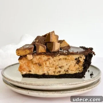Decadent Peanut Butter Pie with Chocolate Ganache Recipe 18 a whole slice of peanut butter pie with chocolate ganache on a plate topped with reese's pb cups.