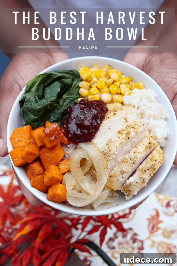 Harvest Buddha Bowl with jasmine rice, roasted chicken and veggies