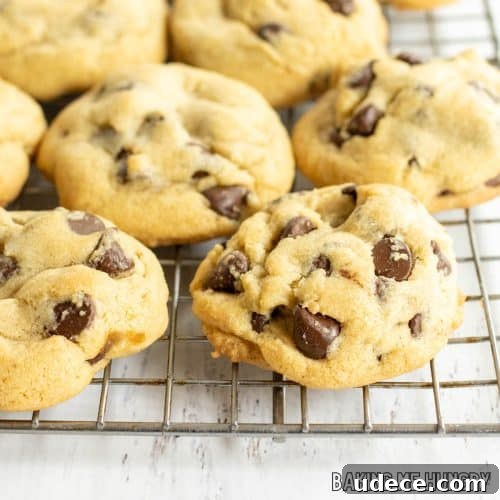 brown sugar chocolate chip cookies close up on wire rack