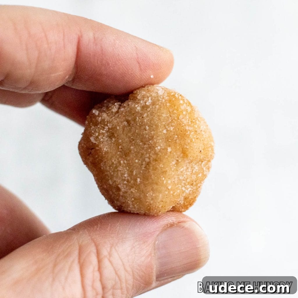 Edible Snickerdoodle Cookie Dough Recipe 9 hand holding one of the snickerdoodle cookie dough bites