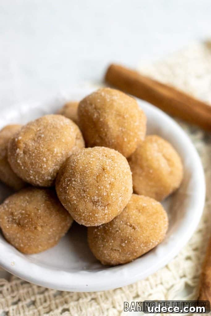Edible Snickerdoodle Cookie Dough Recipe 10 edible snickerdoodle cookie dough bites in bowl