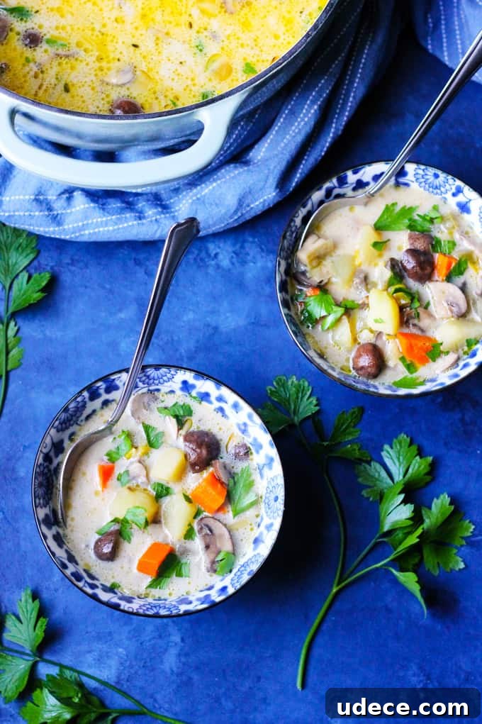 Overhead shot of mushroom soup in two bowls with a pot in the background