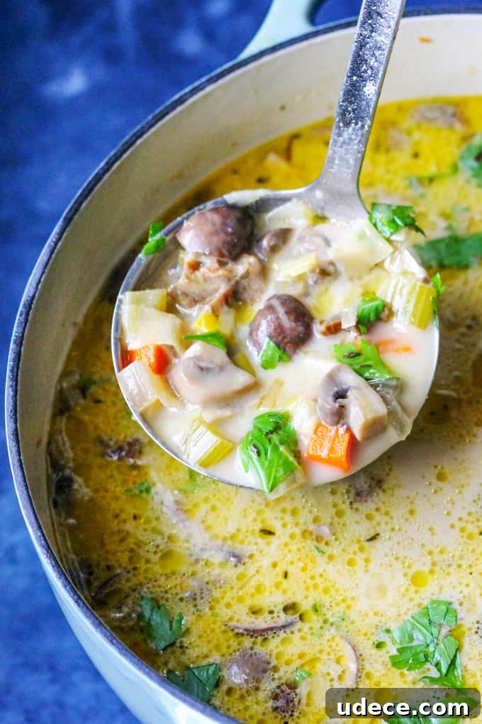 Polish Mushroom soup in a pot with ladle