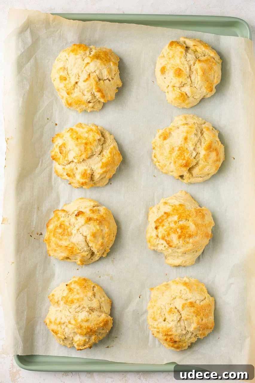 Fluffy Gluten-Free Biscuits with Optional Dairy-Free Version 5 8 biscuits on a baking sheet with parchment paper