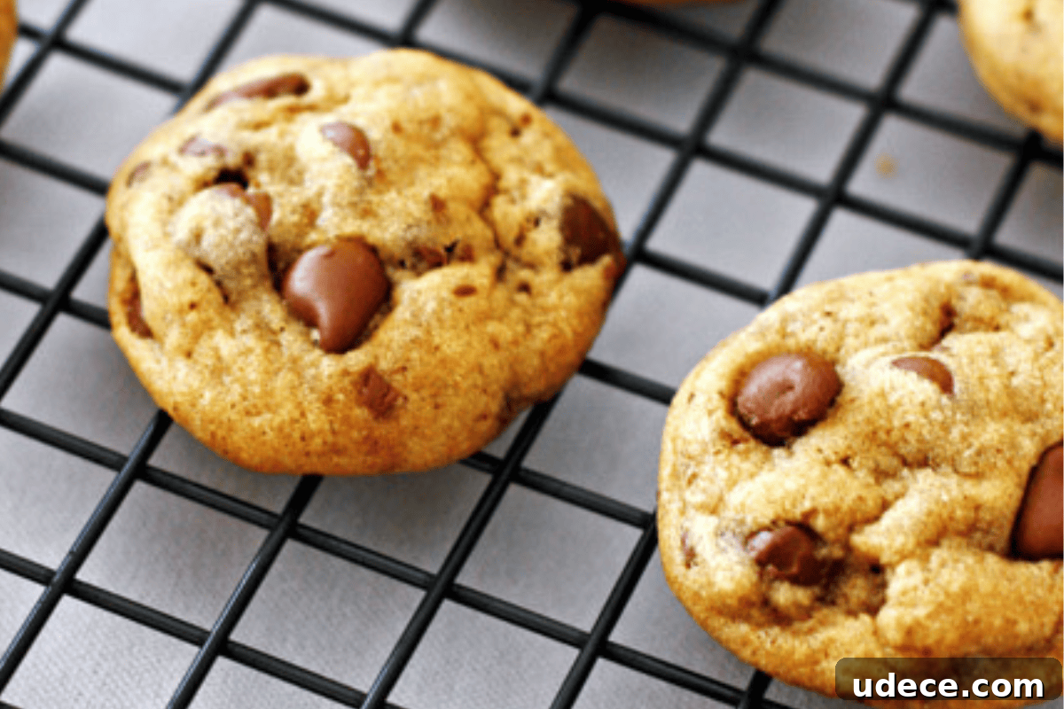 8 Handheld Thanksgiving Desserts the Whole Family Will Love 3 img 12465 7