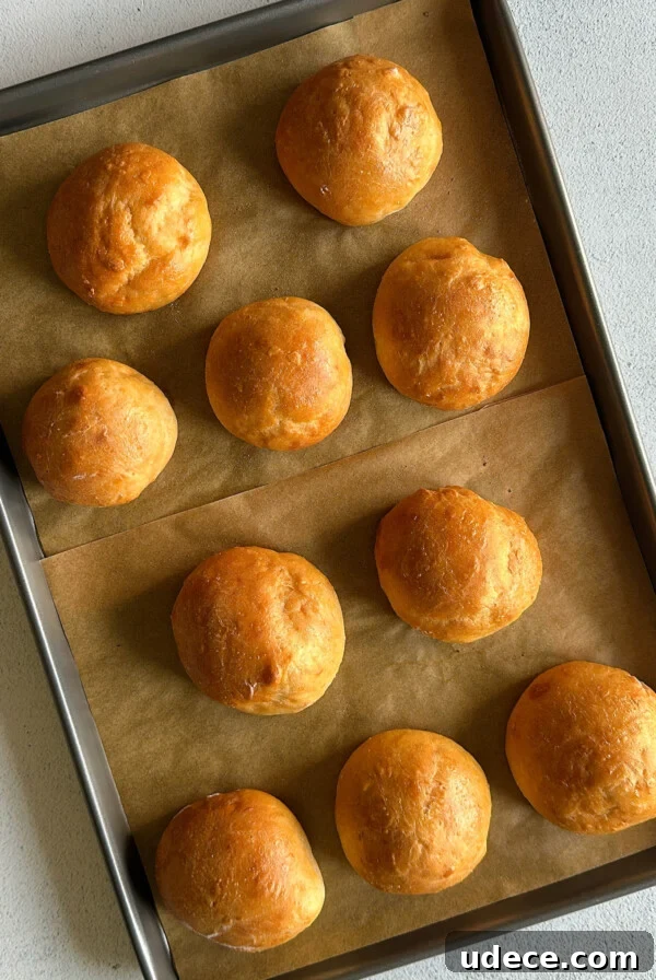 Creamy Avocado and Cottage Cheese Dip Recipe for Snacks 8 Cottage cheese buns.