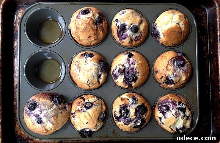 Fluffy Homemade Blueberry Muffins: Simple Recipe for Baking Success 2 Blueberry Muffins
