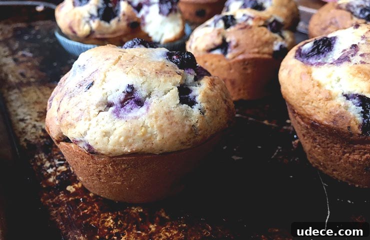 Fluffy Homemade Blueberry Muffins: Simple Recipe for Baking Success 5 Best Blueberry Muffins