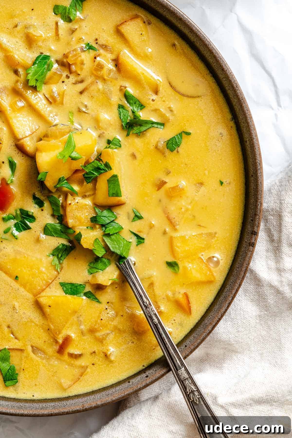 Creamy Apple Curry Recipe with Warm Spices and Coconut Milk 2 Completed Creamy Apple Curry in a plate against a white surface.