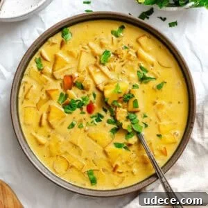 Creamy Apple Curry Recipe with Warm Spices and Coconut Milk 11 Completed Creamy Apple Curry in a plate.