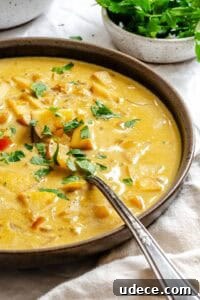 Creamy Apple Curry Recipe with Warm Spices and Coconut Milk 16 Completed Creamy Apple Curry in a plate against a white surface.