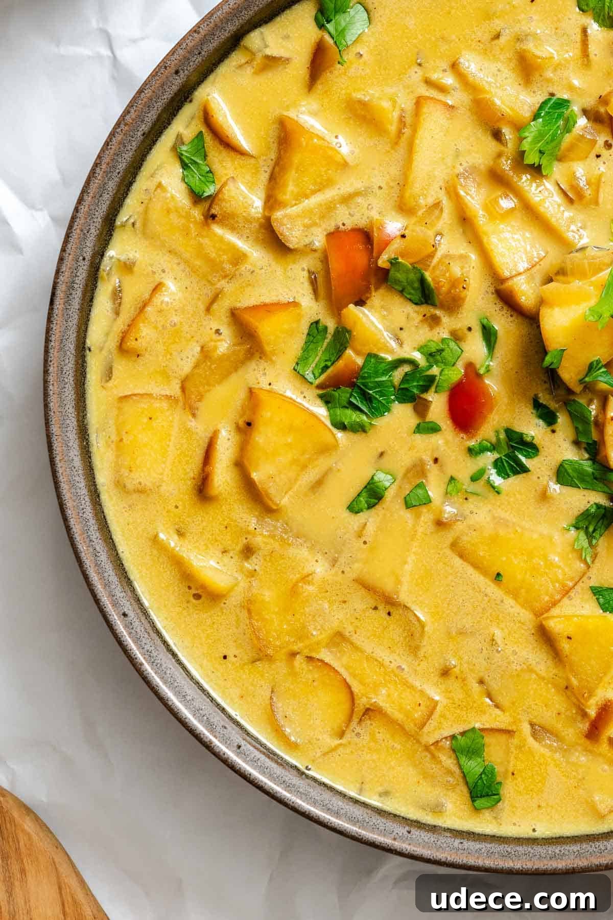 Creamy Apple Curry Recipe with Warm Spices and Coconut Milk 9 Completed Creamy Apple Curry in a plate against a white surface.