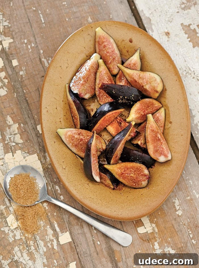 Balsamic Fig Shrub Recipe with Fresh Figs for Cocktails and Dressings 2 Quick Balsamic Fig Shrub from Bitters and Shrub Syrup Cocktails by Warren Bobrow