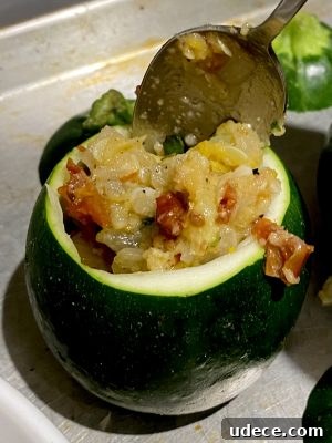 Zucchini Boats Stuffed with Savory Cheese and Herbs 15 Stuffed Zucchini Prepping