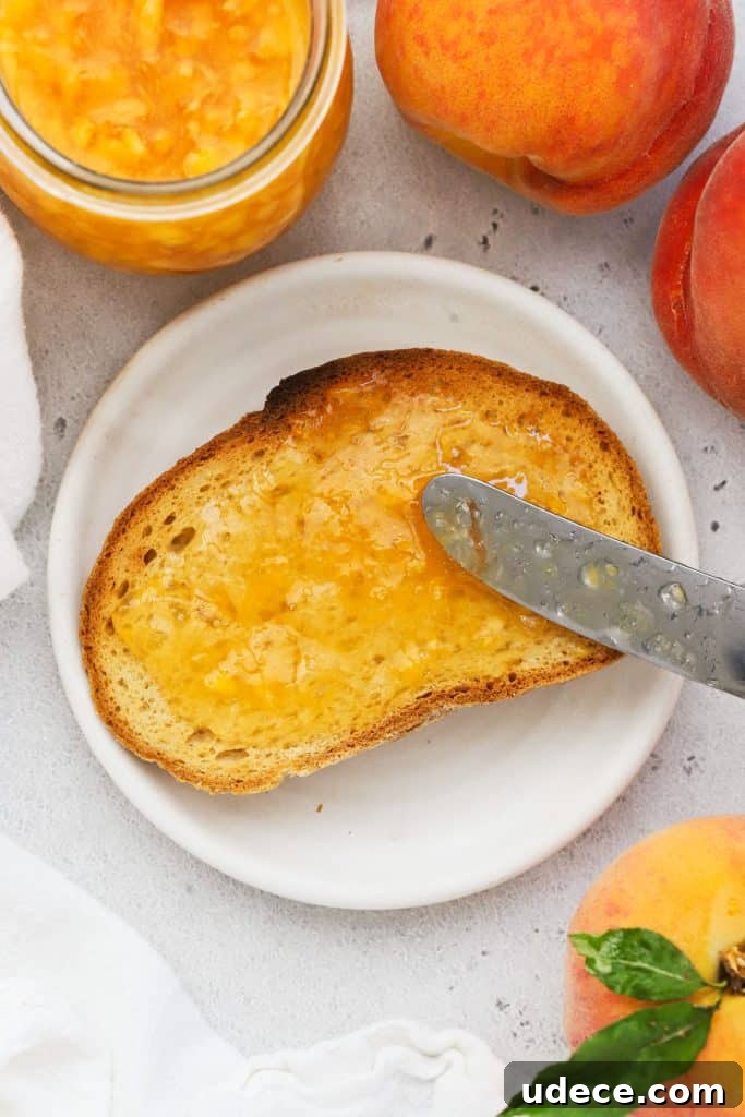 Blackberry Freezer Jam Recipe: Quick No-Cook Preserve 10 spreading peach freezer jam on a slice of gluten-free toast